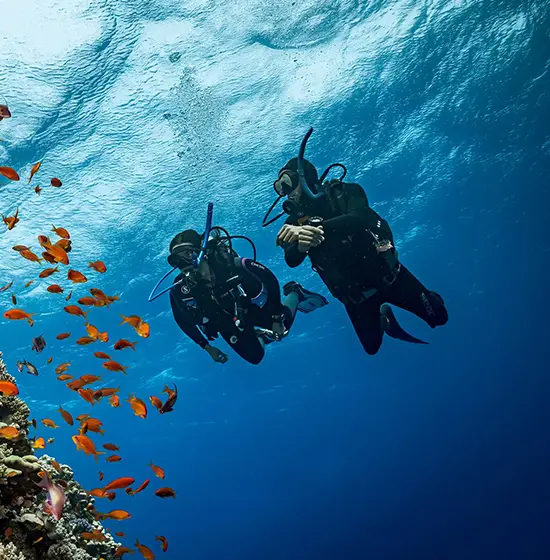 PADI Drift Diver